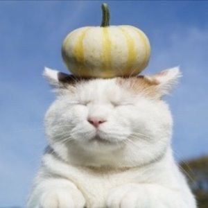 Meet your Posher, Ponsie